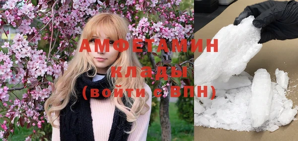 мдпв Осташков
