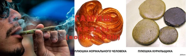 мдпв Осташков