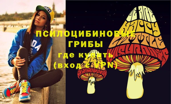 мдпв Переславль-Залесский