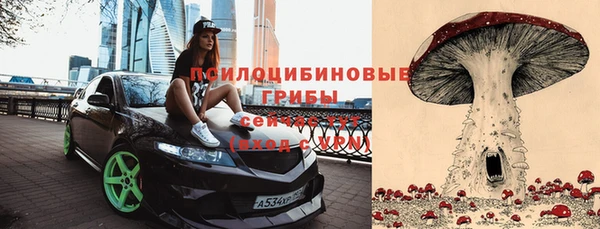 мдпв Переславль-Залесский